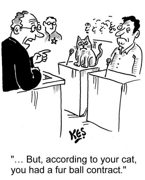". . . But, according to your cat, you had a fur ball contract."
