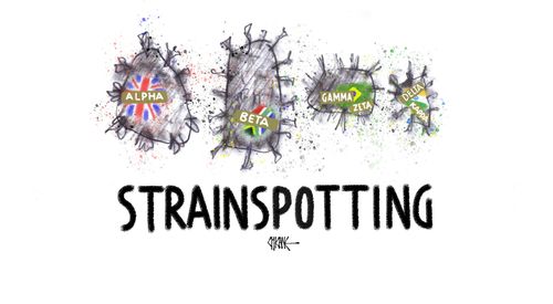 Strainspotting