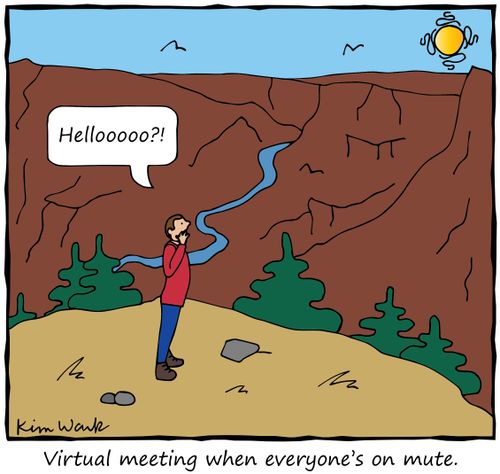 Virtual meeting when everyone's on mute.