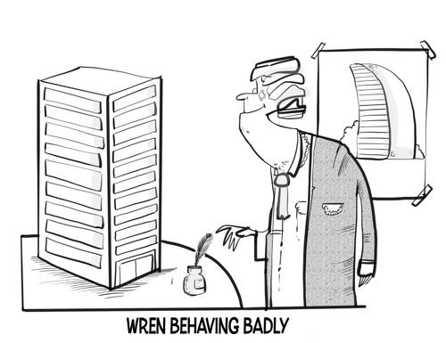 Wren Behaving Badly