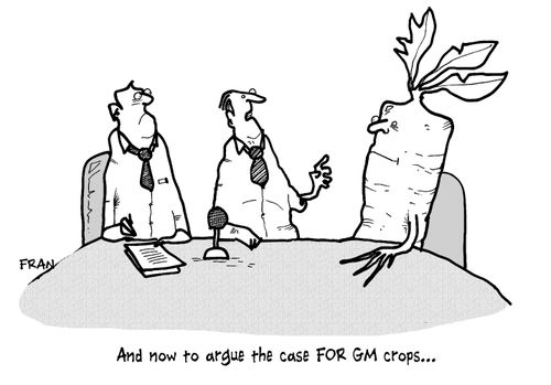 "And now to argue the case for GM crops..."
