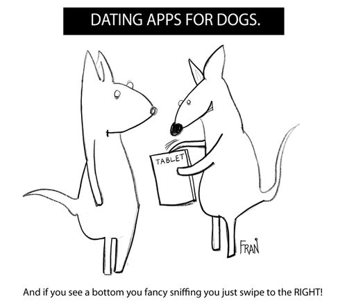 Dating app for dogs