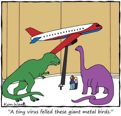 "A tiny virus felled these giant metal birds."
