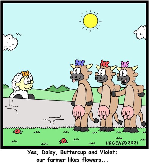 "Yes, Daisy, Buttercup and Violet: our farmer likes flowers. . ."