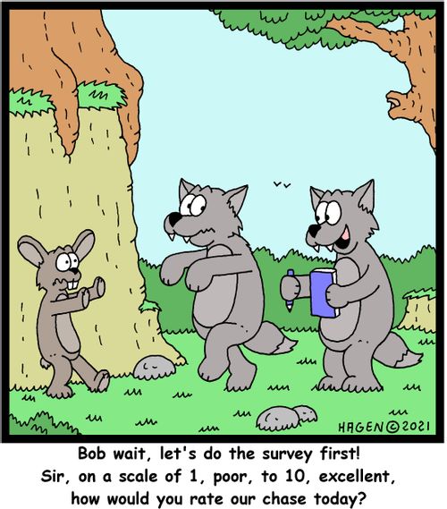 "Bob wait, let's do the survey first! Sir, on a scale of 1, poor, to 10, excellent, how would you rate our chase today?"