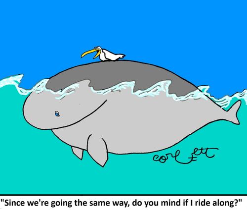 "Since we're going the same way, do you mind if I ride along?"