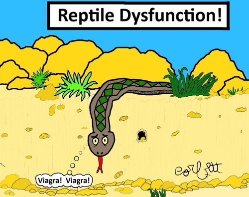 Reptile Dysfunction!
