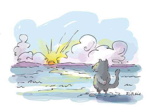 Wolf Watching the Sunset