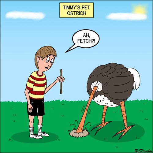 Timmys Pet Ostrich