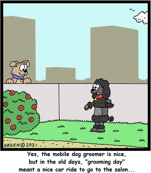 "Yes, the mobile dog groomer is nice, but in the old days, "grooming day" meant a nice car ride to go to the salon..."