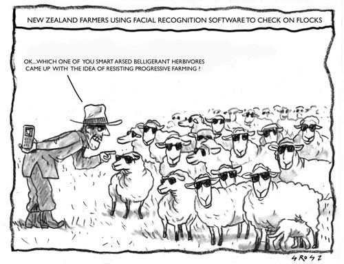 New Zealand Farmers Using Facial Recognition Software to Check on Flocks