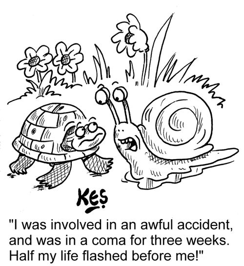 "I was involved in an awful accident, and was in a coma for three weeks. Half my life flashed before me!"