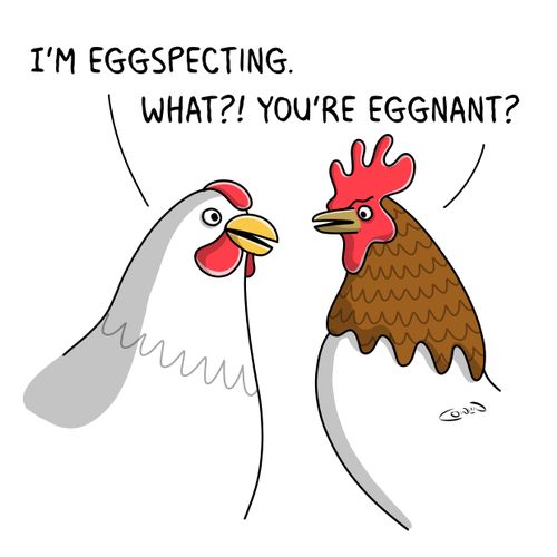 "I'm Eggspecting."