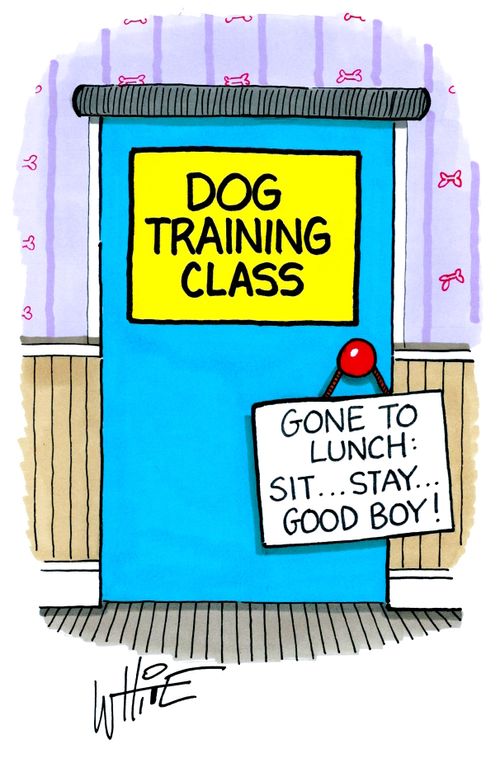 Dog Training Class: Gone To Lunch: Sit. . . Stay. . . Good Boy!