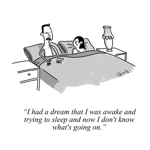 "I had a dream that I was awake and trying to sleep and now I don't know what's going on."