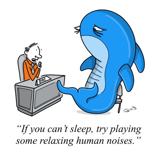 "If you can't sleep, try playing some relaxing human noises."