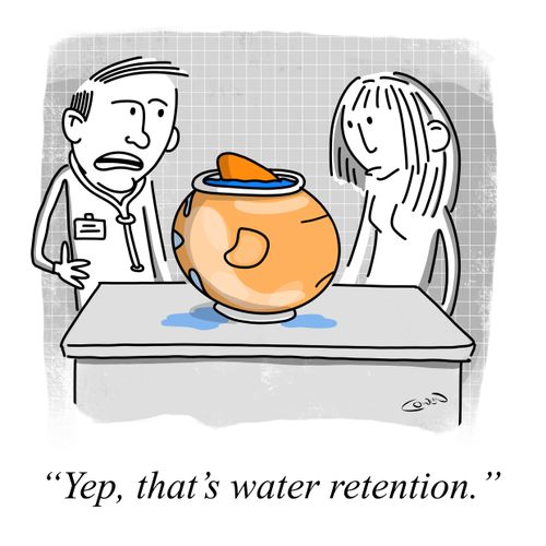 "Yep, that's water retention."
