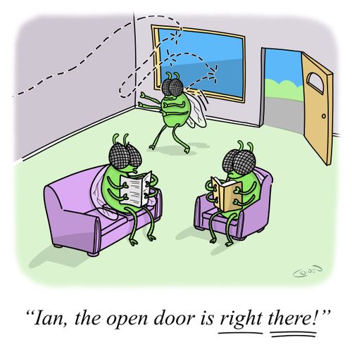 "Ian, the open door is right there!"