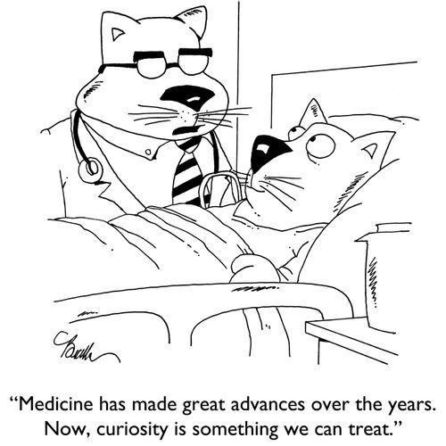 "Medicine has made great advances over the years. Now, curiosity is something we can treat."