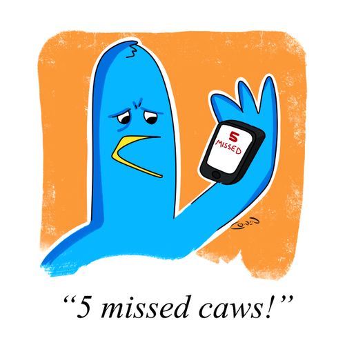 "5 missed caws!"