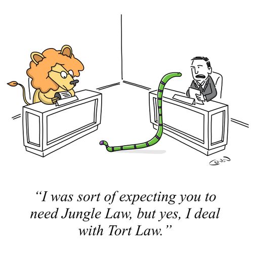 "I was sort of expecting you to need Jungle Law, but yes, I deal with Tort Law."
