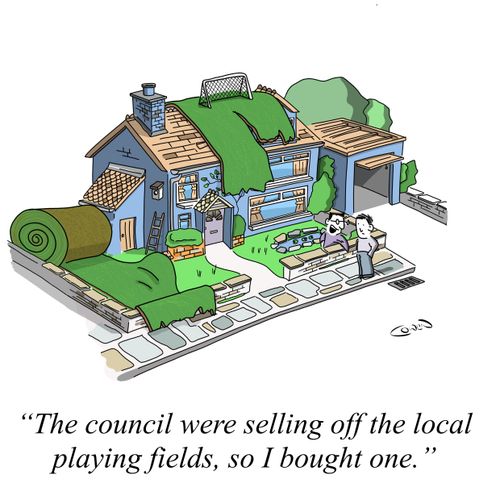 "The council were selling off the local playing fields, so I brought one."