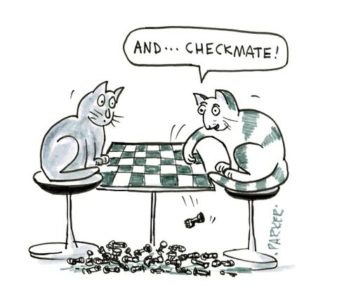 "And.... Checkmate