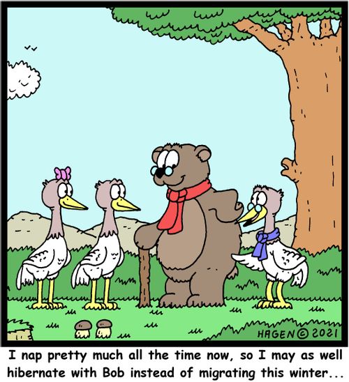 "I nap pretty much all the time now, so I may as well hibernate with Bob instead of migrating this winter. . ."