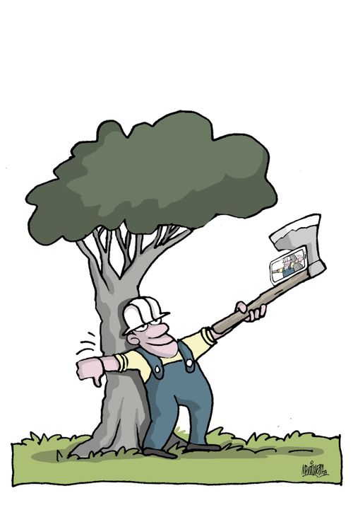 Deforestation