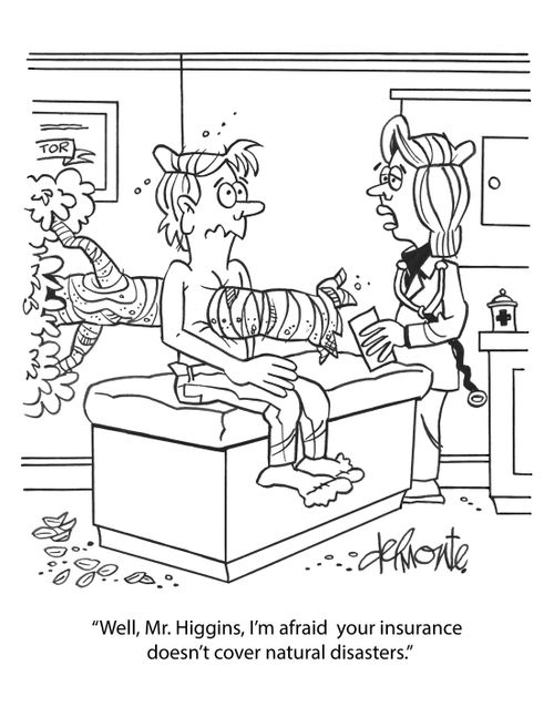 "Well, Mr. Higgins, I'm afraid your insurance doesn't cover natural disasters."