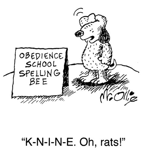 Obedience School Spelling Bee