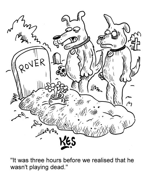 "It was three hours before we realised that he wasn't playing dead."