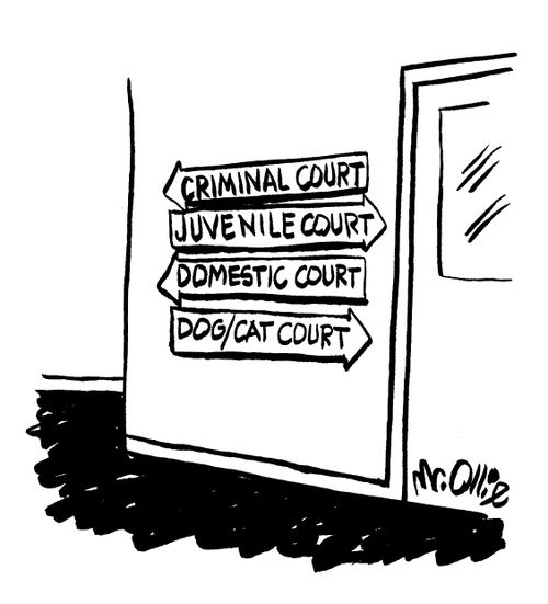Criminal Court; Juvenile Court; Domestic Court; Dog/cat Court