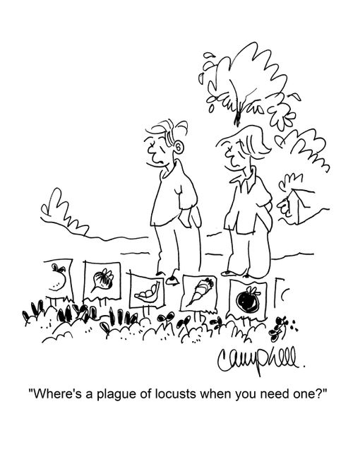 "Where's a plague of locusts when you need one?"