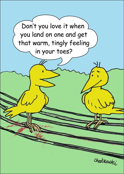 "Don't you love it when you land on one and get that warm, tingly feeling in your toes?"