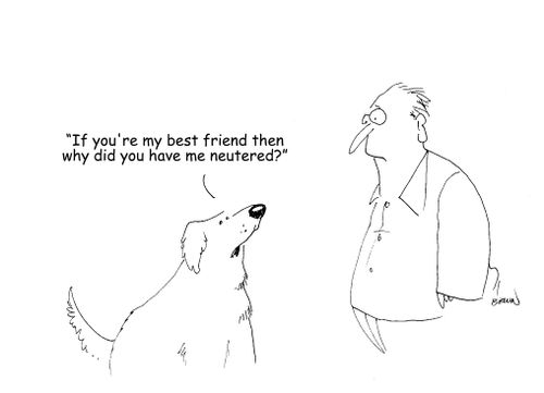 "If you're my best friend then why did you have me neutered?"