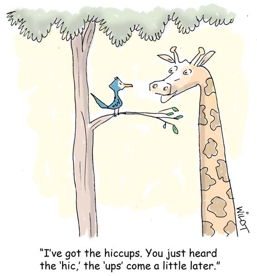 "I've got the hiccups. You just heard the 'hic', the 'ups' come a little later."