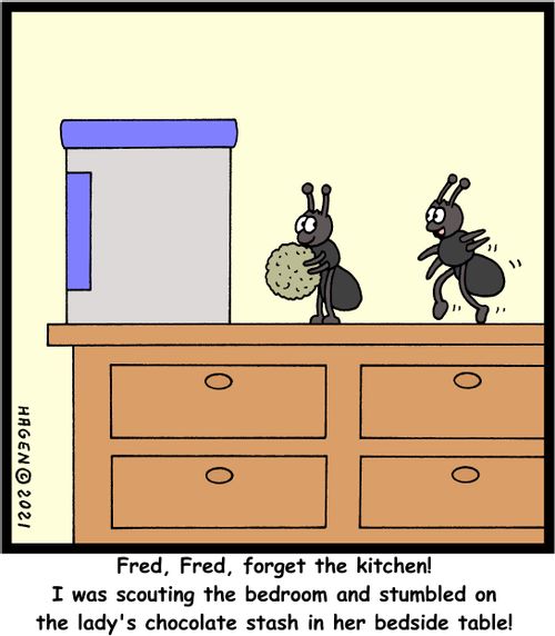"Fred, Fred, forget the kitchen! I was scouting the bedroom and stumbled on the lady's chocolate stash in her bedside table!"