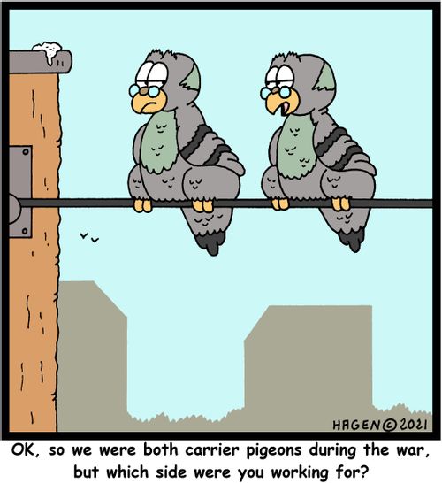 "Ok, so we were both carrier pigeons during the war, but which side were you working for?"
