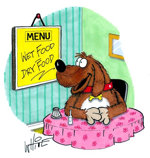 Menu: Wet food. Dry food