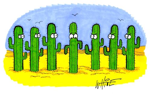 Self-conscious cactus