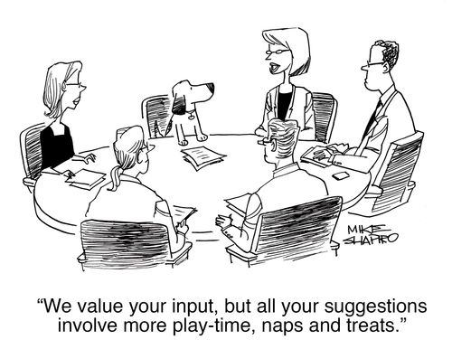 "We value your input, but all your suggestions involve more play-time, naps and treats."
