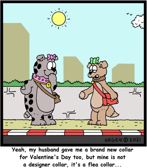 "Yeah, my husband gave me a brand new collar for Valentine's Day too, but mine is not a designer collar, it's a flea collar..."