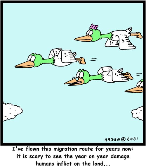 "I've flown this migration route for years now: it is scary to see the year on year damage humans inflict on the land..."