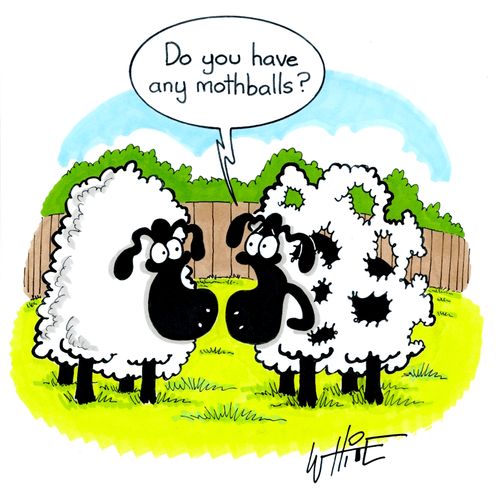 "Do you have any mothballs?"