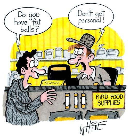 "Do you have fat balls?"