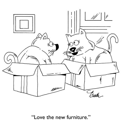 "Love the new furniture."