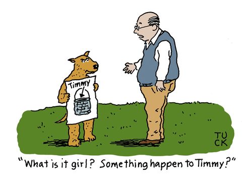 "What is it girl? Something happen to Timmy?"