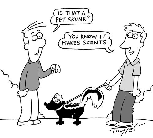 "Is that a pet skunk?"