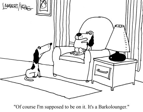 "Of course I'm supposed to be on it. It's Barkolounger."